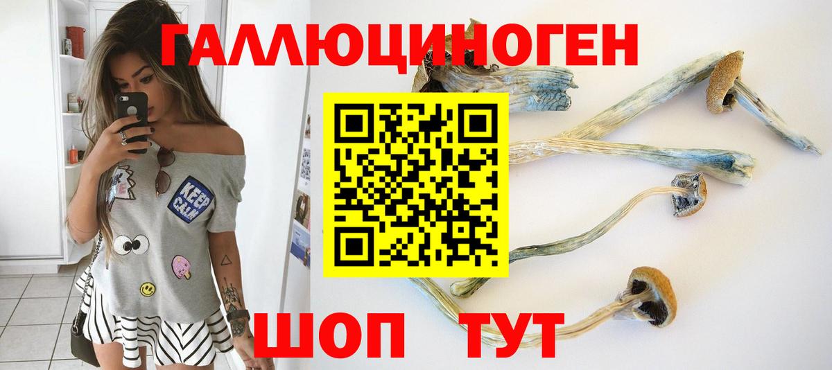 Галлюциногенные грибы Cubensis  Вход с VPN  Богданович 